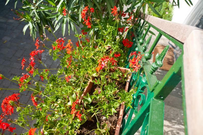 Pape Punat Apartmani I Sobe Dış mekan fotoğraf