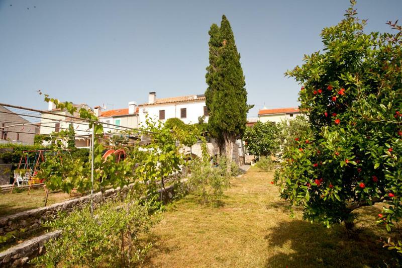 Pape Punat Apartmani I Sobe Dış mekan fotoğraf